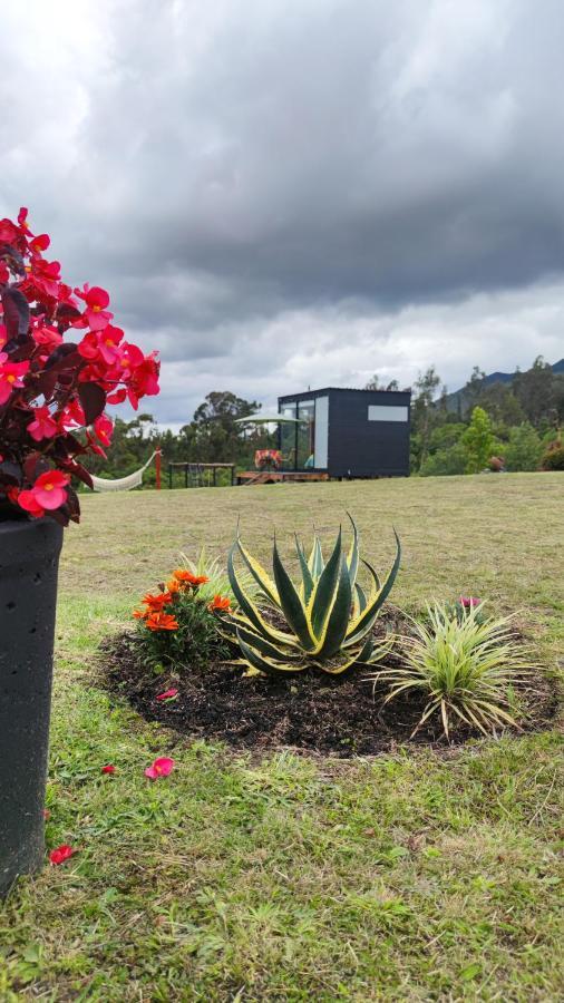 Iraca Glamping